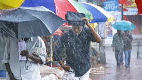 Heavy rains likely to lash state till Saturday; yellow alert in nine ...