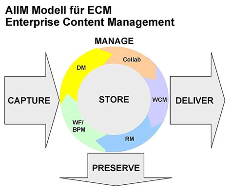 Image result for CMS Website Examples