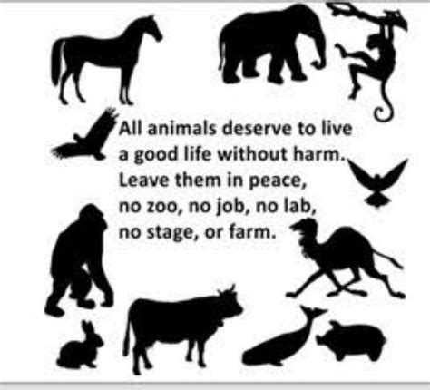 Poster making on kindness to animals - Brainly.in