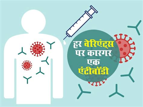 कोरोना वायरस के सभी वेरिएंट्स को बेअसर कर देगी ये एक एंटीबॉडी, शोध में ...