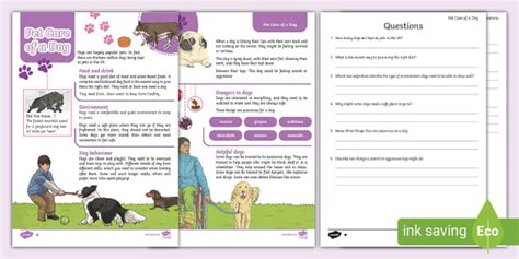 Pet Reading Comprehension PDF Activity | Pet Care of a Dog