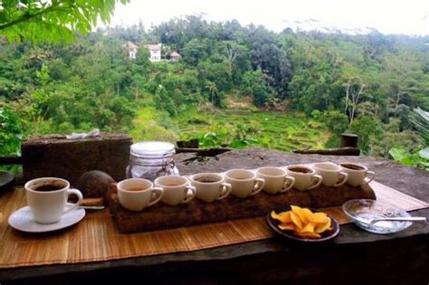 Ubud Tour Driver - 2022 What to Know Before You Go (with Photos ...