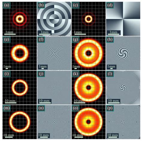 Double and Square Bessel–Gaussian Beams