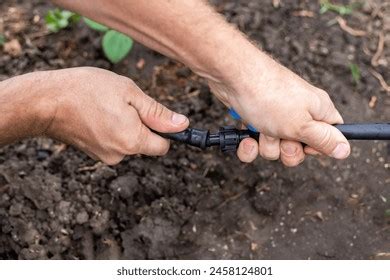 Installation Drip Irrigation Photos and Images & Pictures | Shutterstock