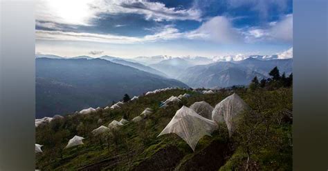 Seetalvan Orchard, For The Best Hotel View In India