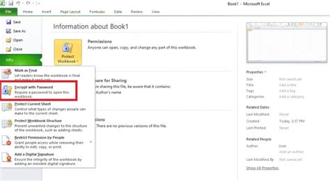 Image result for Lock File Pada Excel