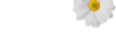 Sleep - Adaptogenic Herbal Tea for Restful Sleep | Wellbeing Nutrition