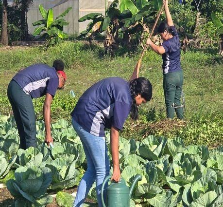 MSc in Horticulture | Admission & Scope 2026