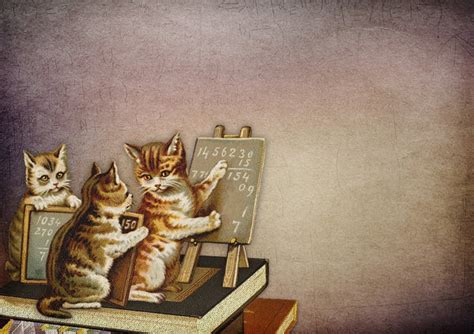 What The Hell Is Democracy? - Cats' Classroom – MIRCHI KOMACHI