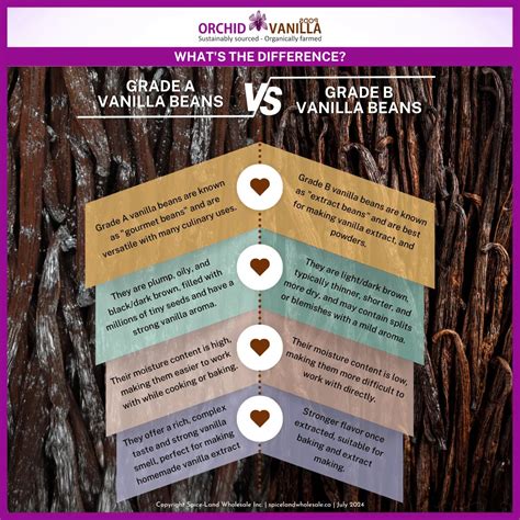 Vanilla Beans: Grade A vs. Grade B Explained
