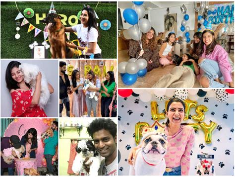 Samantha to Pavithra Lakshmi: Celebrities who rang in their pet's ...
