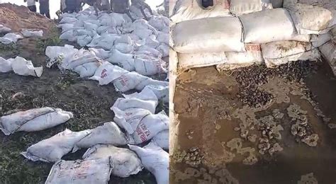 Motihari के चंपारण तटबंध में जलरिसाव, लोगों में दहशत