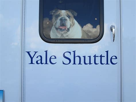 Yale West Campus on Twitter: "Due to the expected weather all Yale ...