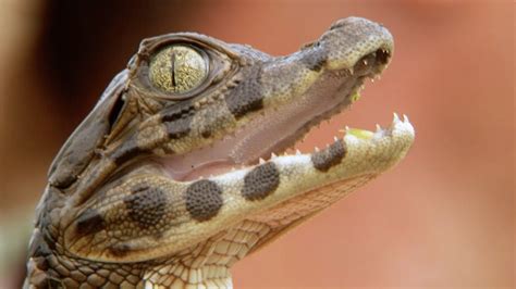 Image result for Example of Information Processing