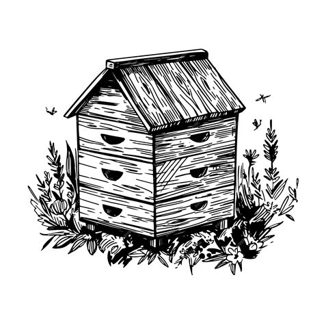 Bee hive vector sketch illustration hand drawn black outline | Premium ...