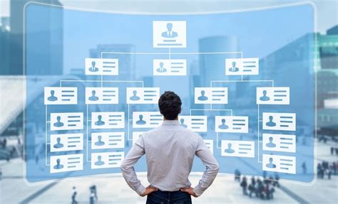 What Is an Organizational Chart (Structure)?