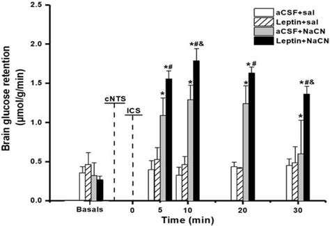 Leptin in the Commissural Nucleus of the Tractus Solitarius (cNTS) and ...