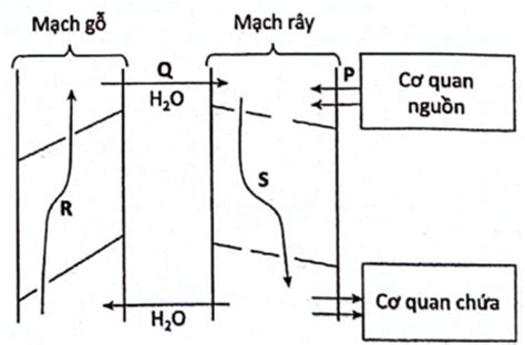 Image result for Array AutoCAD Simple
