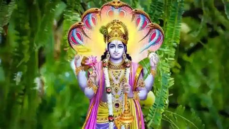 Amlaki Ekadashi: Significance | Vrat Katha | Rituals