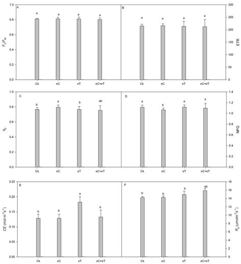 Effects of Elevated CO2 Concentration and Temperature on the Growth and ...