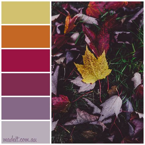 Fall Color Schemes