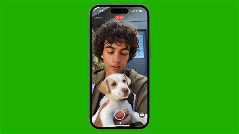 How to Use iOS 15 FaceTime 的图像结果