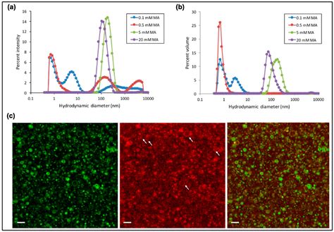 Prebiotic Factors Influencing the Activity of a Ligase Ribozyme