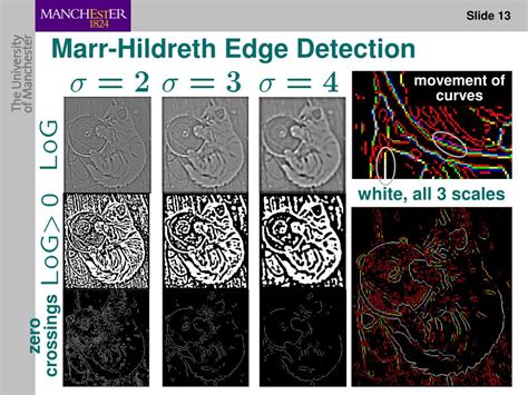 First Order Difference and Edge Detection 的图像结果