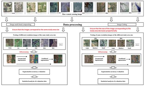 Evaluating the Efficacy of Segment Anything Model for Delineating ...