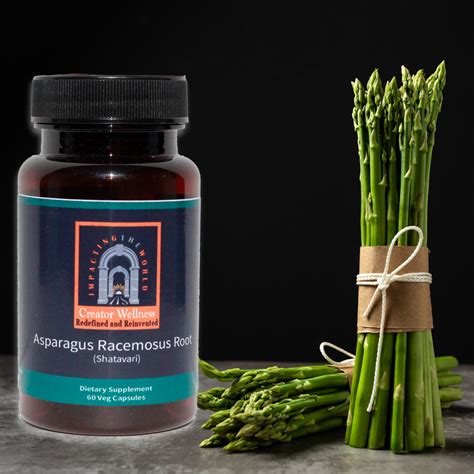 Shatavari - Asparagus Racemosus Root | 225mg Extract | 60 Veg Capsules – creatorwellness