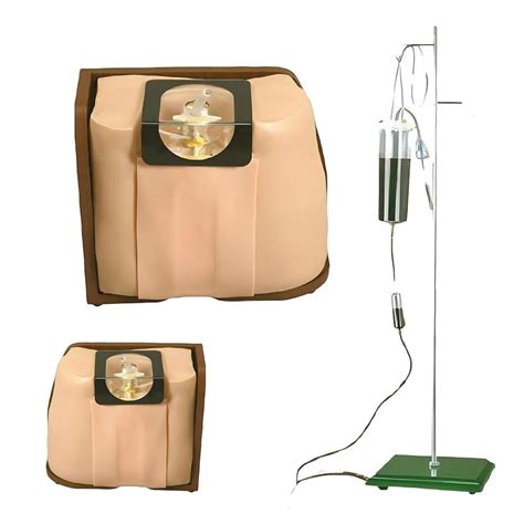 BASAYI(バサーイ) Spine Puncture Training Model, Lumbar spine Puncture India ...
