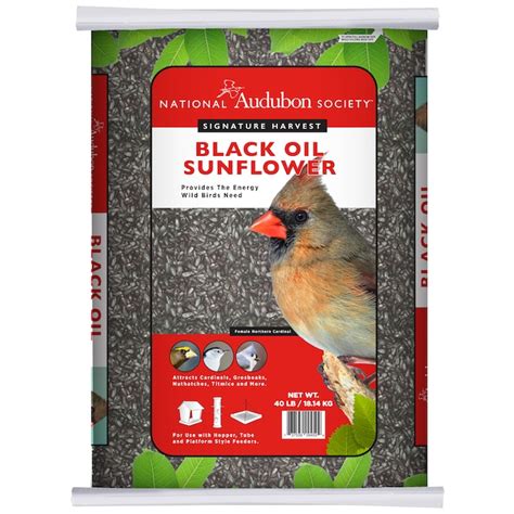 National Audubon Society Black Oil Sunflower Seed Black Oil Sunflower ...