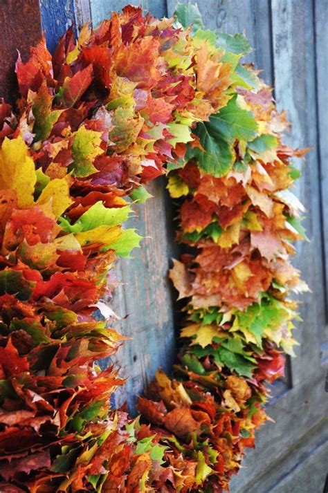 Image result for Fall Leaf Designs