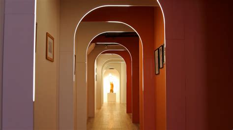 Phallological Museum in Iceland | Penis Museum in Iceland