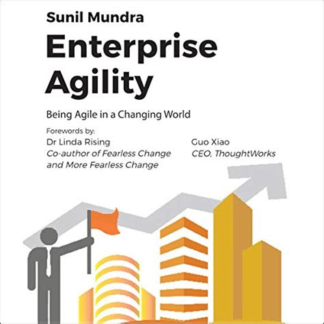 Enterprise Agility: Being Agile in a Changing World (Audio Download ...
