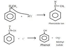 I need the answer please very very fast - Brainly.in