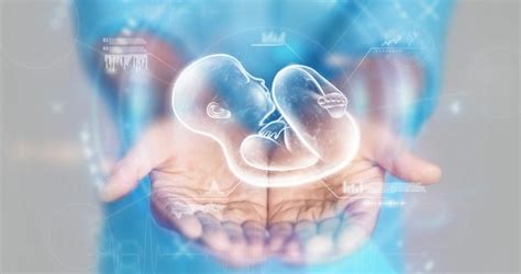 Luteal Phase - Luteal Phase Symptoms for Pregnancy | Bloom IVF