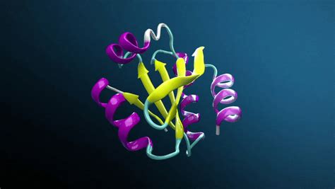 BioNeMo Framework を使って最新のタンパク質言語モデルを作成する簡単な方法 - NVIDIA 技術ブログ