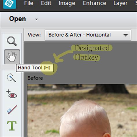 Image result for Adobe Elements Tutorial