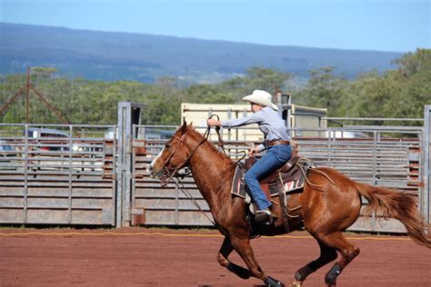 Pana'ewa Equestrian Center | Hawaii County, HI Parks & Recreation