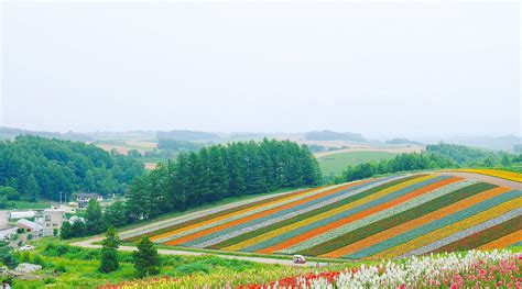 SPA AND HOTEL RESORT FURANO LATERRE (Hokkaido) - Onsen Hotel Reviews ...