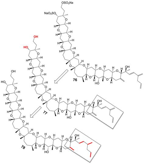 Natural Polyketides Act as Promising Antifungal Agents