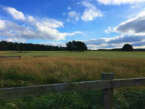 Four Oaks Farm | Chase Camping