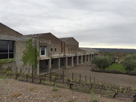 Educational tour, lovely natural location and exceptional wines ...