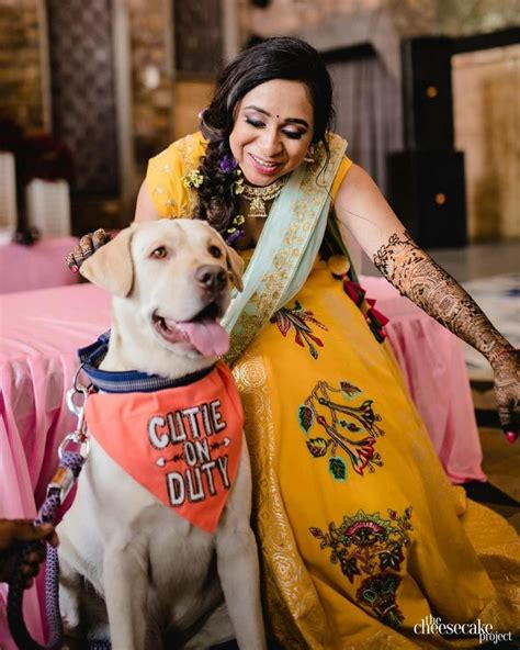 Here's How to Include Your Pet in Your Wedding to Make It FURfect