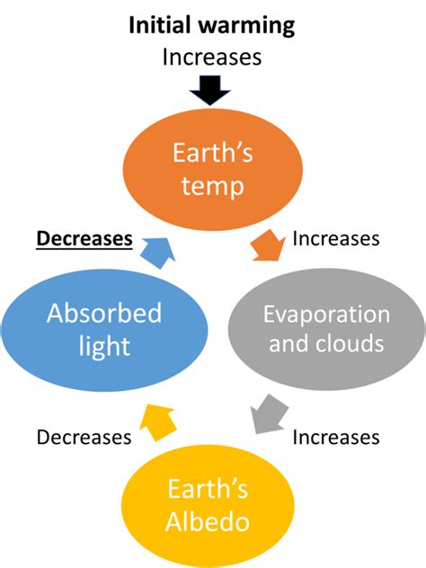 Image result for Negative Feedback Ecosystem