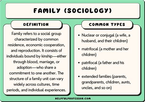 Image result for Social Structure Examples