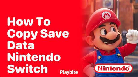 Image result for How Get Save Data Nintendo