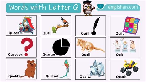 Words with Letter Q with Pictures • Englishan