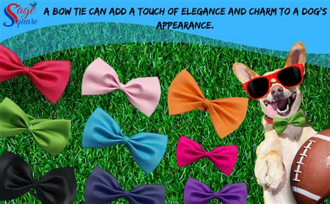 Sage Square Dog Bow - Enhance Your Pet's Style with a Glamorous and ...
